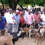 Kwale-Governor-Fatuma-Achani-distributes-dairy-goats