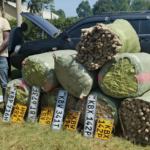 GuXhRYXXYAAvw75-og_image