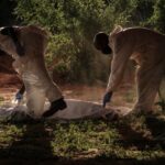 AFP__20230515__33F62Q7__v2__MidRes__KenyaCrimeCult-og_image_converted