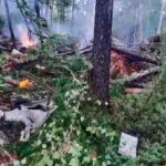 AP25205509207615-1753367783_converted