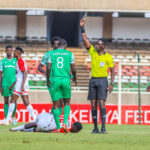 Dickens-Mimisa-in-Action-1-scaled