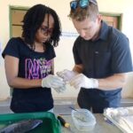 Image-2-2_converted (1)