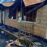 Lari-scaled-e1752396304777_converted