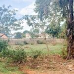 V11-e1753435963172_converted