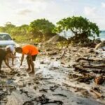 c99bc860-6844-11f0-8dbd-f3d32ebd3327.jpg_converted