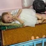 download (4)_converted (5)