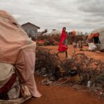 image1170x530cropped