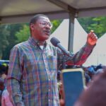 weta-1-scaled_converted (1)