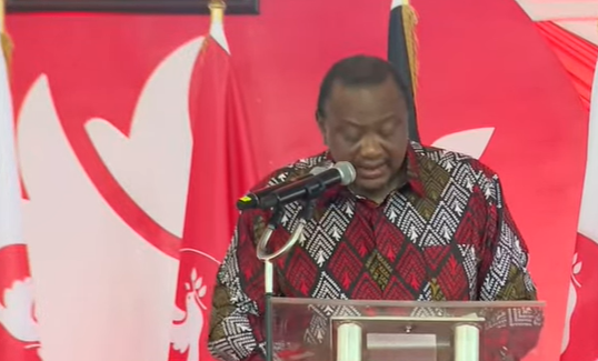 Uhuru Defends His Achievements At Jubilee`s NDC