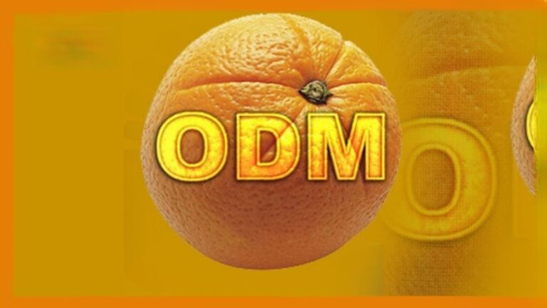 ODM Primaries in Ugunja Kicks Off Despite Delays and Low Turnout