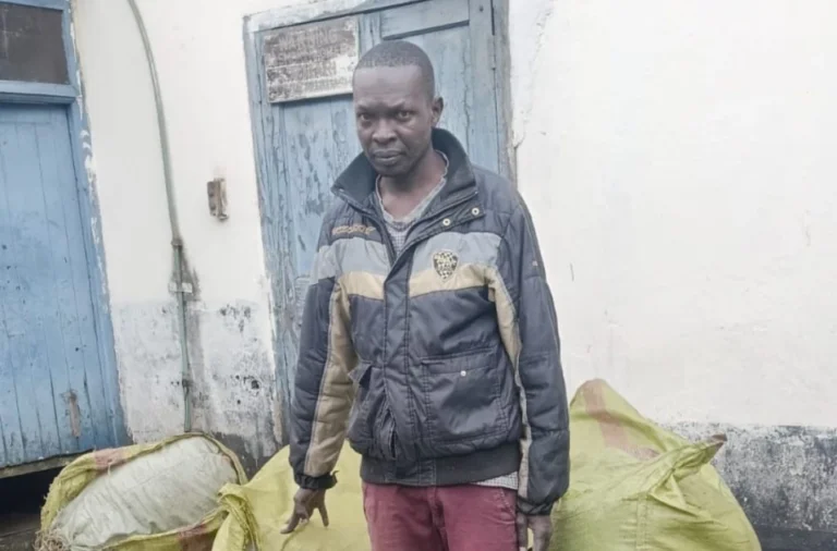 Bomet Police Arrest Suspect With Ksh.7 Million Bhang