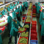 agro-processing-in-Africa