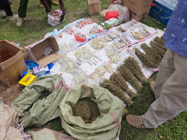 Ksh5 Million Bhang Seized in Raid Near University Hostels in Homa Bay