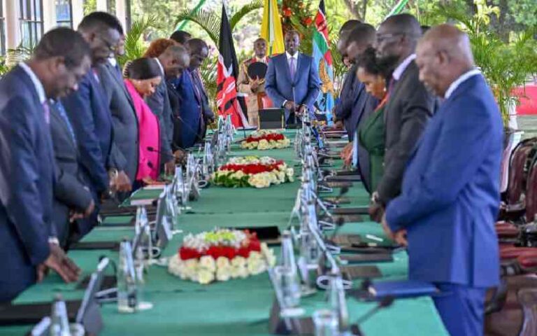 Babu Owino, Mwaura Kabata Challenge Law Allowing Cabinet Secretaries to Join Politics