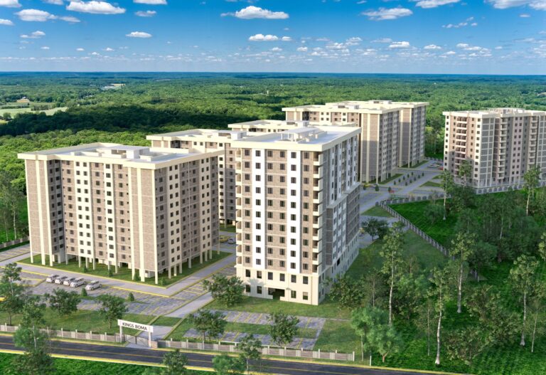 Basic Interiors Kenya’s Boma Yangu Project Must Deliver