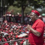 EFF leader Julius Malema granted leave to appeal his 5-year sentence and released pending High Court ruling after firearm conviction case.