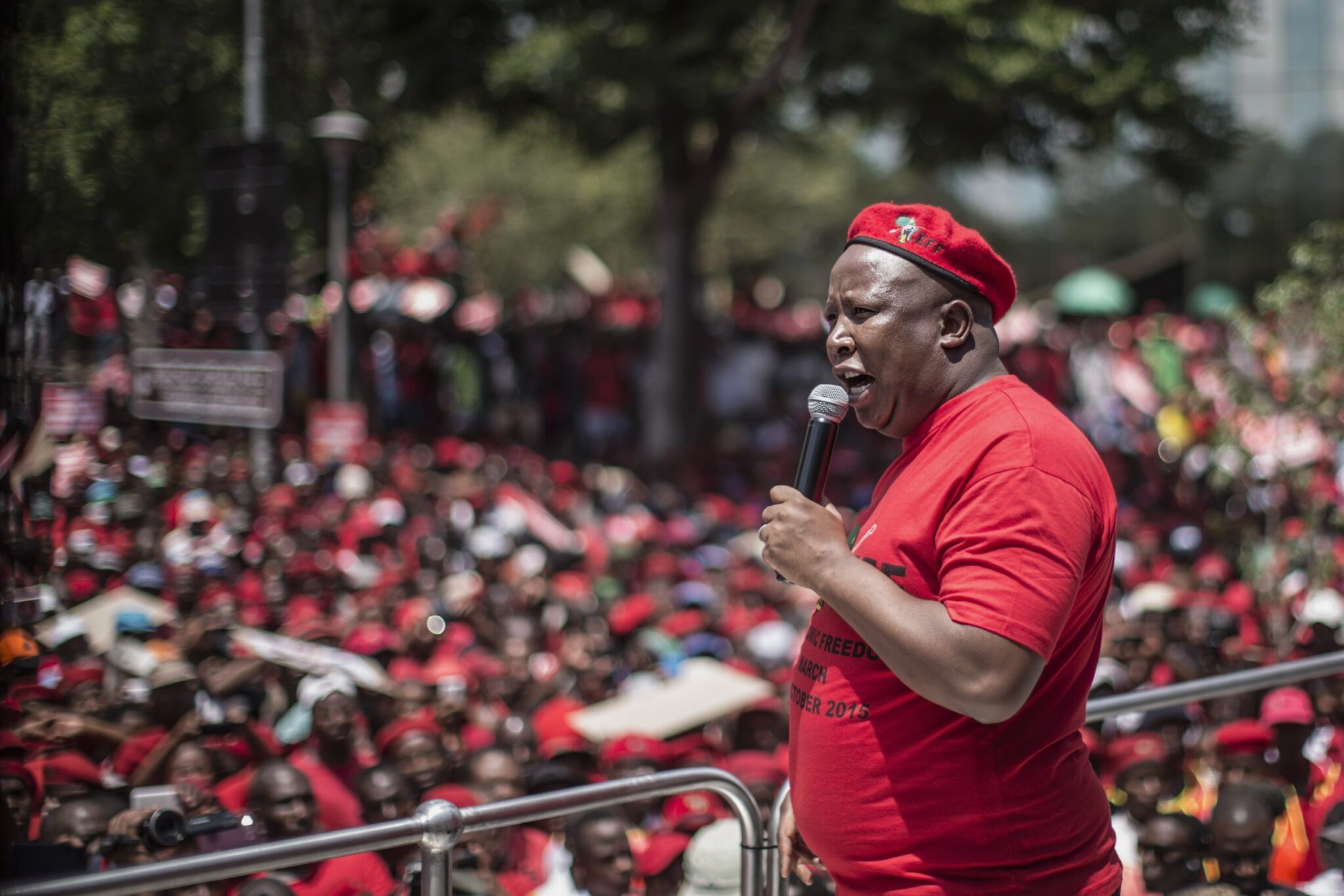 Julius Malema Granted Leave to Appeal Sentence, Released Pending High Court Challenge