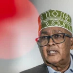 Somaliland's president Abdirahman Mohamed Abdullahi called the declaration "historic"