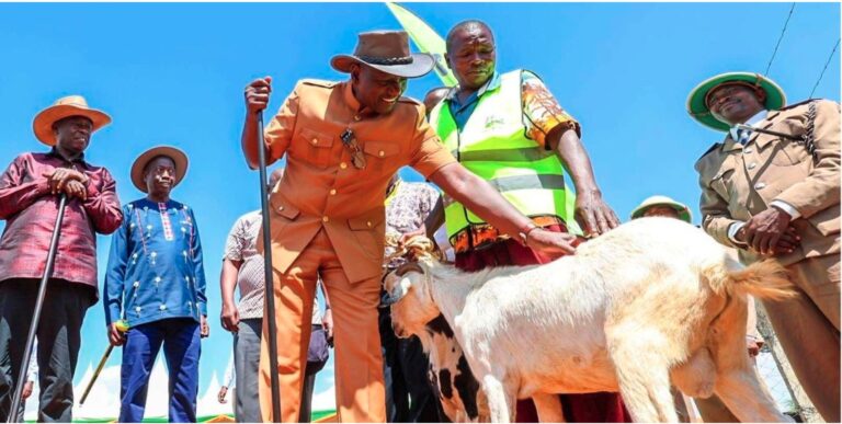How Ruto and Friends Raised Millions in Minutes at the Kimalel Goat Auction