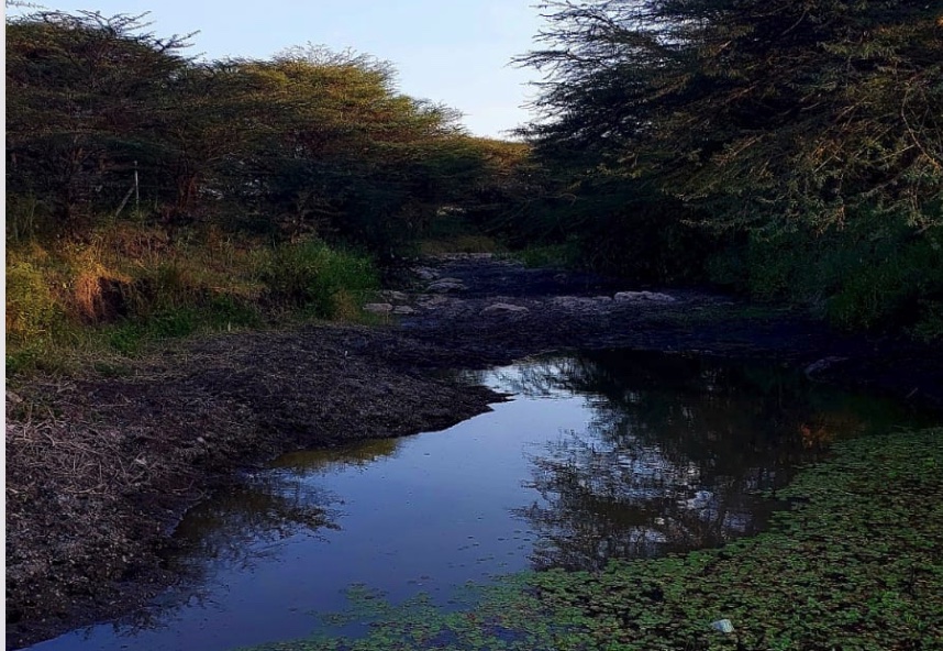 The Weekend of Things: Silence, Soil and Sanity