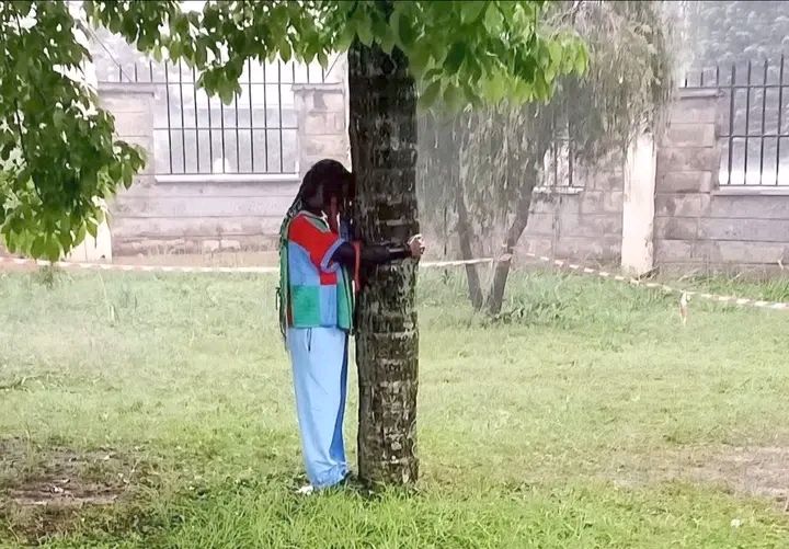 Muthoni Closes In on New 72-Hour Tree-Hugging Mark in Nyeri