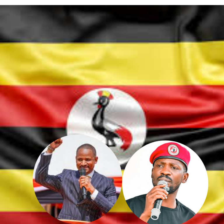 “You Have What It Takes”: Kenya’s Babu Owino Backs Bobi Wine as Uganda Votes