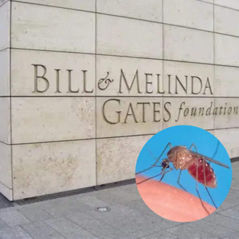 Gates Foundation Pushes Back on Claims of ‘Modified Mosquitoes’ in Kenya
