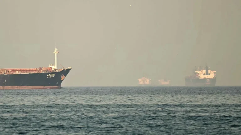 Strait of Hormuz Attacks Trigger Shipping Halt and Renew Oil Price Fears