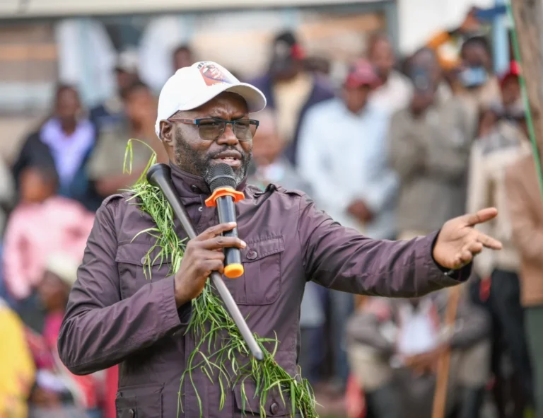 ‘Investigate plane crash and death of Emurua Dikirr MP Johanna Ng’eno’