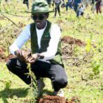 Kenyan environmentalist Hillary Kibiwott attempts a Guinness World Record by planting 24,000 trees in 24 hours.