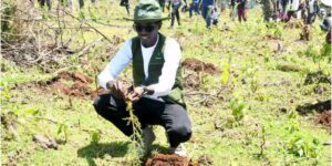 Kenyan environmentalist Hillary Kibiwott attempts a Guinness World Record by planting 24,000 trees in 24 hours.