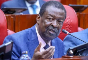 Mudavadi-768x528