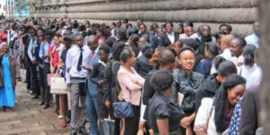 jobseekers (1)