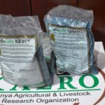 Kenya MPs Push to Subsidize Aflasafe in Fight Against Deadly aflatoxin
