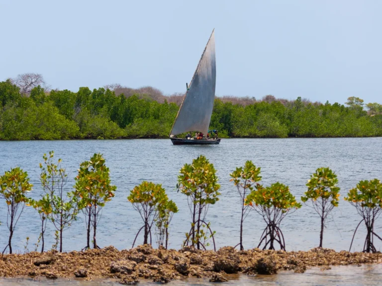 Kenya Unveils Sh79bn Plan to Protect Coast and Grow Blue Economy
