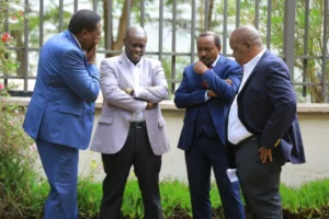 Kalonzo Musyoka, Rigathi Gachagua, Fred Matiang'i and Eugine Wamalwa Plan on a three day tour to western Region of kenya.