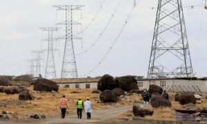 Kenya Power moves ahead to prevent wildlife electrocution.