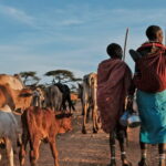 pastoralists-kenya-768x512