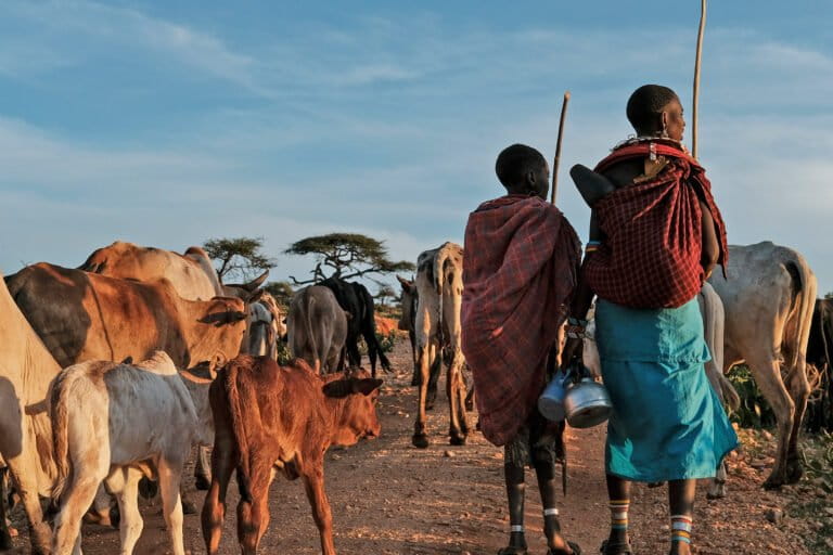 pastoralists-kenya-768x512