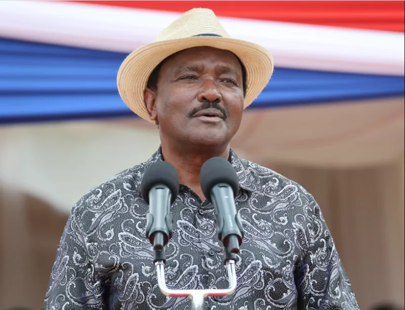 Kalonzo Demands Duale, Hassan Omar Quit Over Tribal Remarks