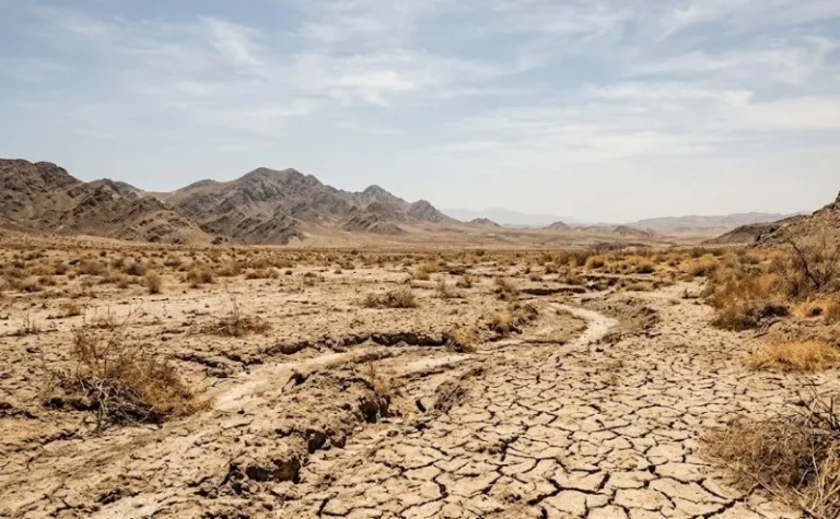 Dry Spell to Dominate as Strong Winds Sweep Parts of Kenya