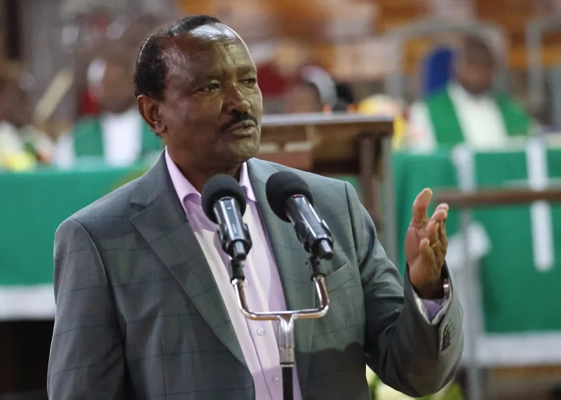 Kalonzo: Uhuru Not Behind Opposition Plan Against Ruto