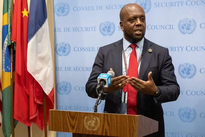 Martin Kimani Lands Top UN Role in Africa