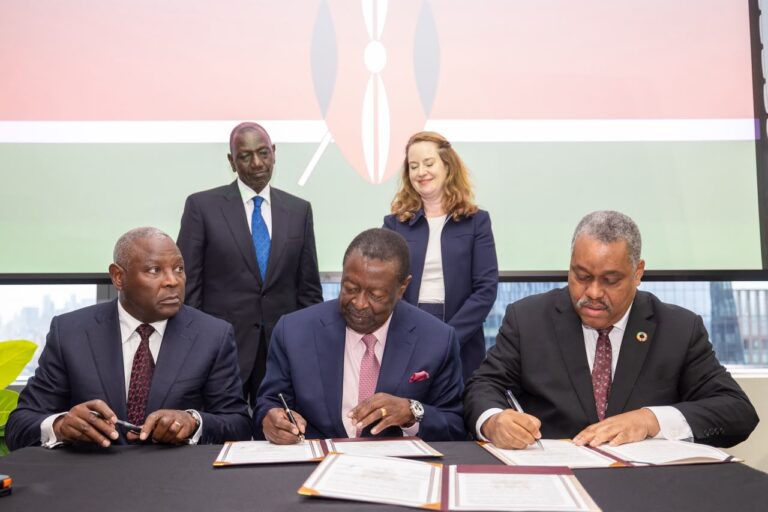 President unveils Diaspora Investment Platform