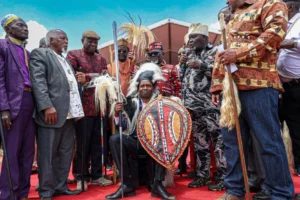 e225482e-e1f2-4135-b607-b4ecd33dabb0_Kindiki-og_image