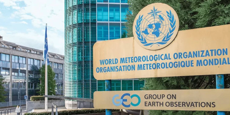 El Niño Set to Intensify Before December Peak as WMO Warns of Global Weather Shifts